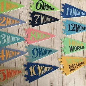 BABY MILLESTONE PENNANTS includes HELLO WORLD & MY FIRST BIRTHDAY - 14 pc.